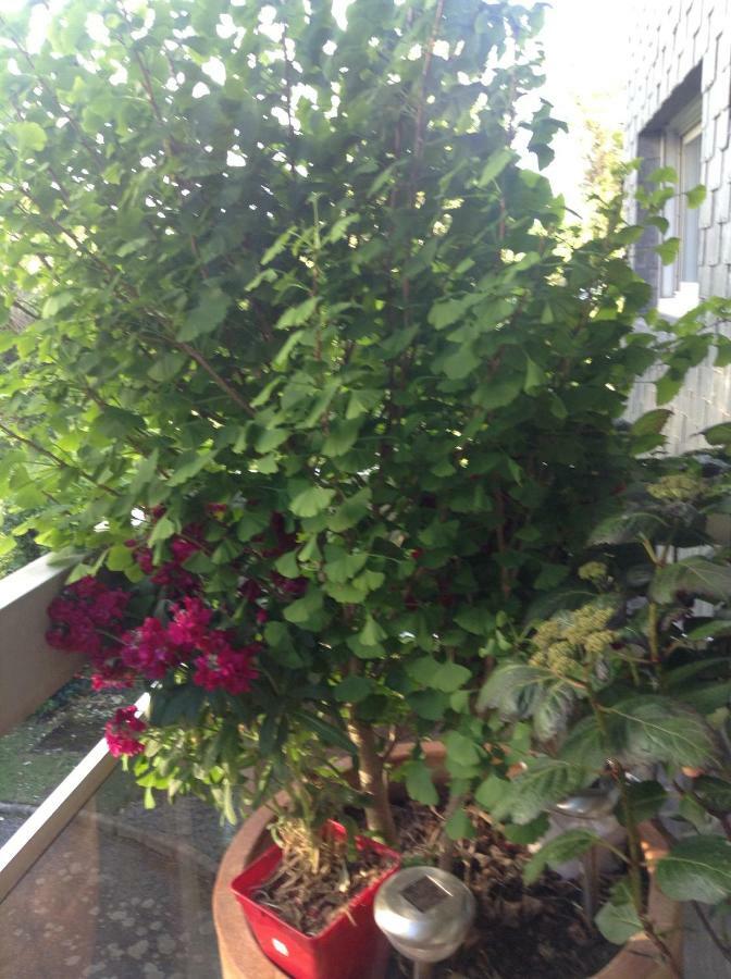 Appartement Monseigneur Vannes Luaran gambar